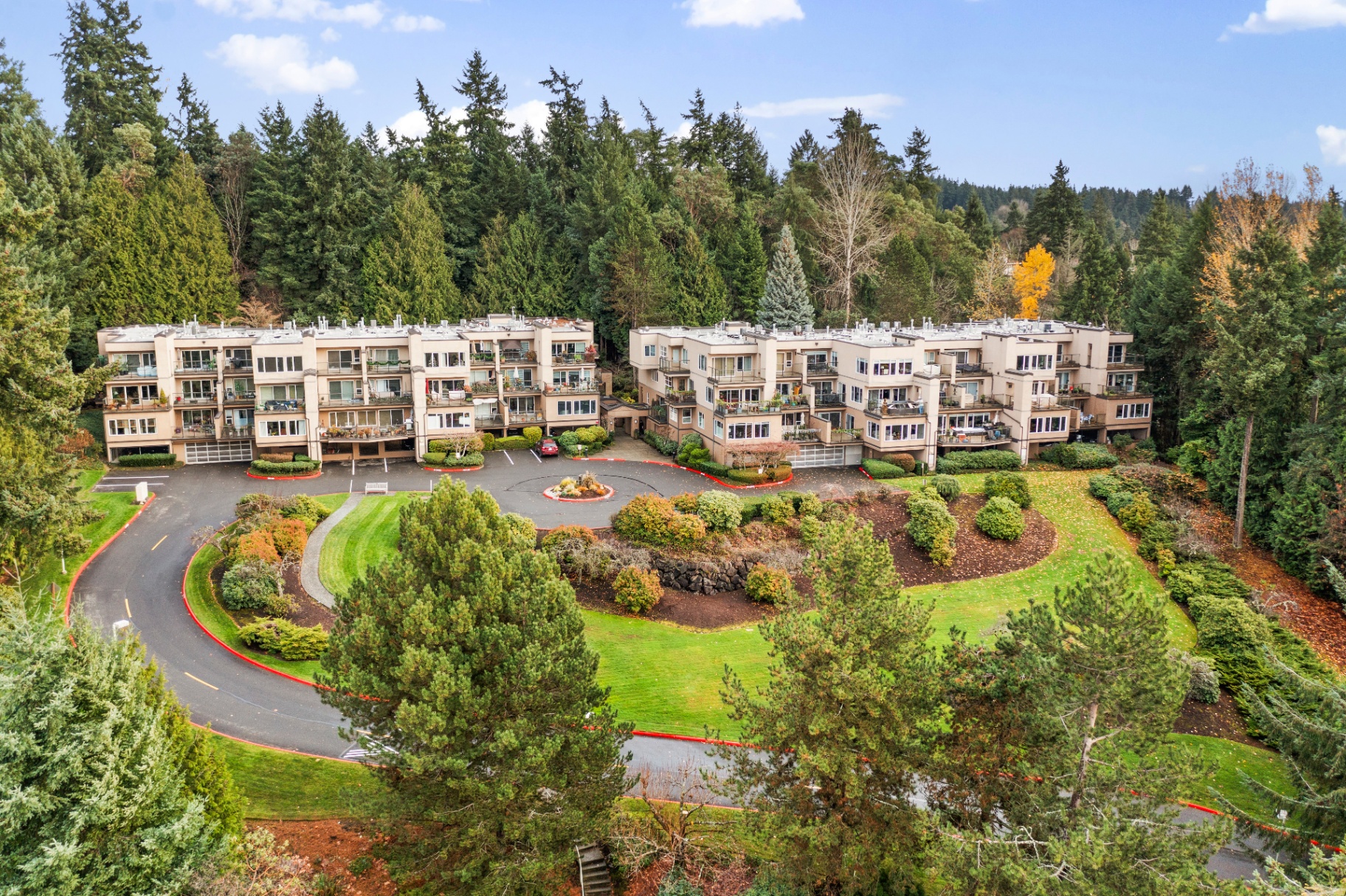Aerial view of a condominium community surrounded by evergreen trees in Kirkland